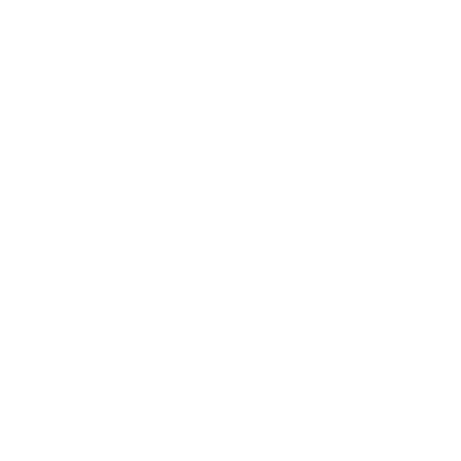 RIMO